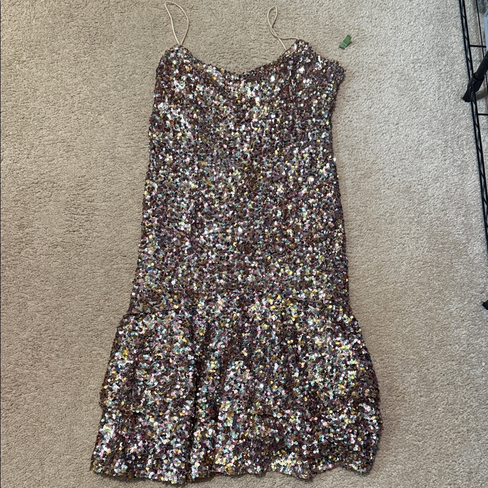 Adrianna Papell Multicolor Sequin Dress